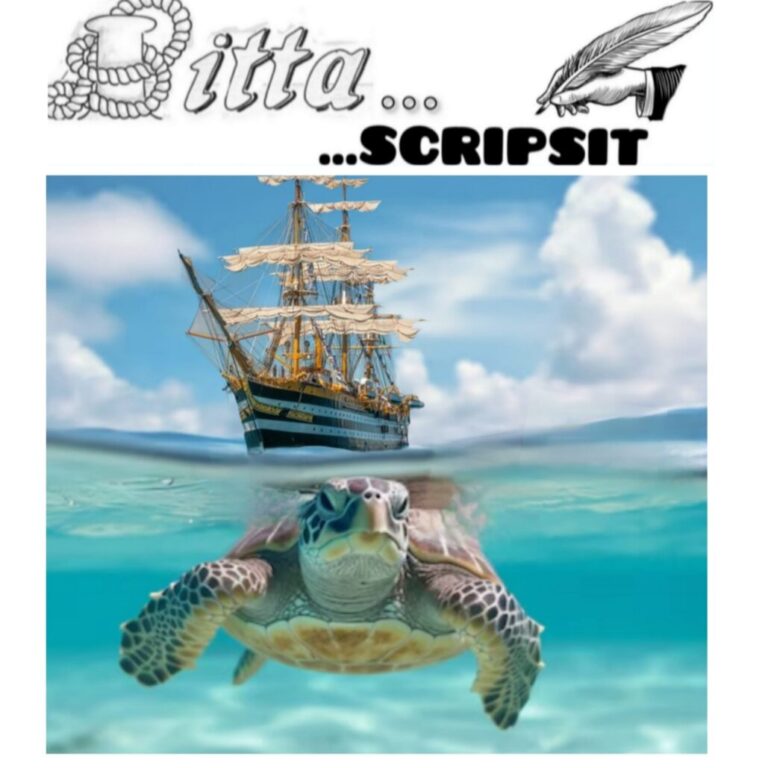 curiosità sugli oceani