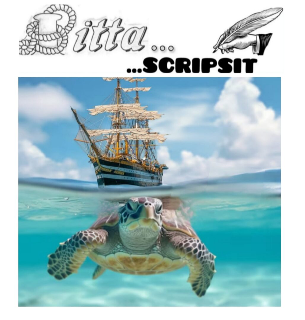 curiosità sugli oceani